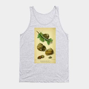 Vintage print of British edible snails Tank Top